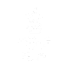 FA Cup Women logo