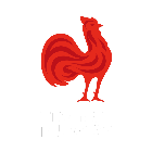France badge