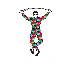 Harlequins badge