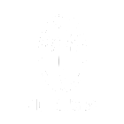 Fiji badge