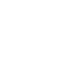 Newcastle badge